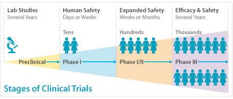 clinical trial phases